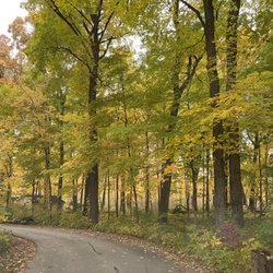 Ryerson Woods Forest Preserve