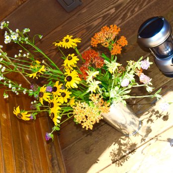 Share The Farm - Wildflower arrangement picked from their wildflower field, it was on the porch when we arrived. :-) So lovely. - Venues & Event Spaces Near Me - Greeneville, Tennessee
