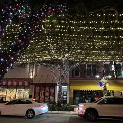Clematis Street