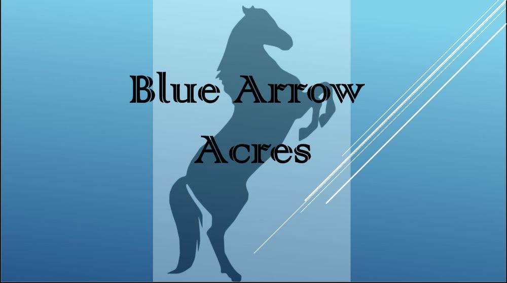 BLUE ARROW ACRES Updated August 2024 6114 Laurel Ln, Crestview