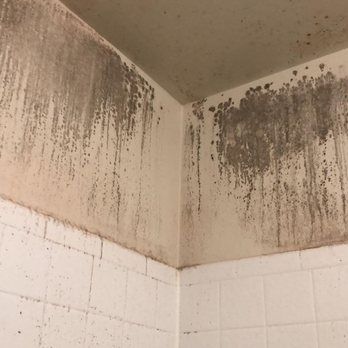 Alba House Cleaning - Before - Home Cleaning Near Me