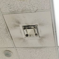Walgreens - Pocatello store needs to have their air vents cleaned. Looked like black mold in person.