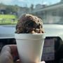 Photo of Doodle's Homemade Sorbets and Ices