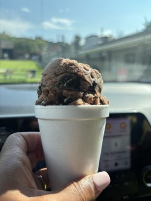 Doodle's Homemade Sorbets and Ices