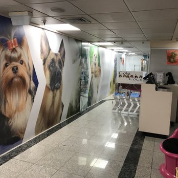 El Corte Inglés - Department Stores Near Me - Lisbon, 11