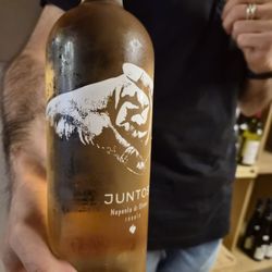 Cronta - A tasting