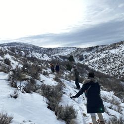 Rancho Luna Lobos - Snowshoeing tour
