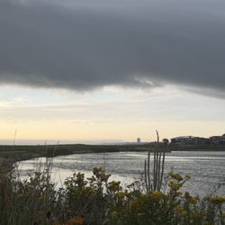 Lakeshore State Park