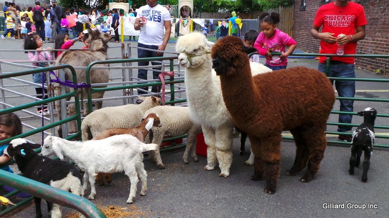 Baby World - childcare center in Jersey City, NJ