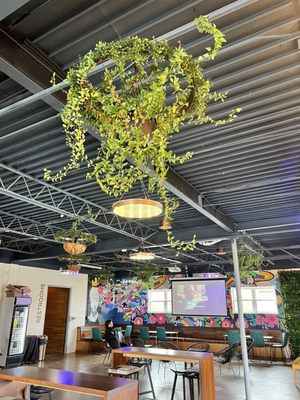 Tabol Brewing by null