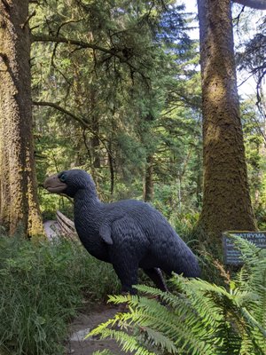 Prehistoric Gardens by null