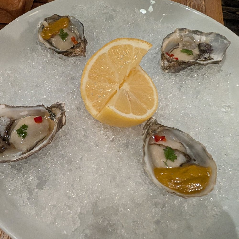 Bos Taurus - Fresh oysters - Steakhouses Near Me - Bend, Oregon Bos Taurus - Fresh oysters - Steakhouses Near Me - Bend, Oregon