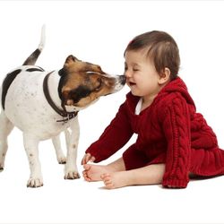 Imago Portraits Ltd - Child and dog photo