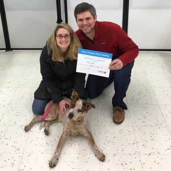 Petco - Love training with Erick! - Pet Stores Near Me - Bangor, Maine