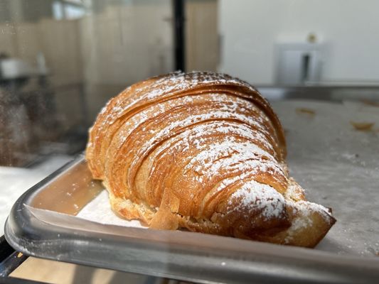 WAKE AND LATE — PASADENA by null