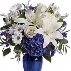 Pompano Flowers 'N Things
