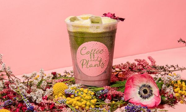Coffee and Plants by null