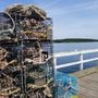 Photo of Cape Porpoise Pier