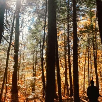 Step Falls Preserve - Natural ombré in fall! - Hiking Near Me