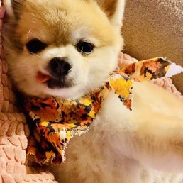 Landry is Pinterest ready with his cute haircut. Thanks again Rachel Smith! Landry is Pinterest ready with his cute haircut. Thanks again Rachel Smith!