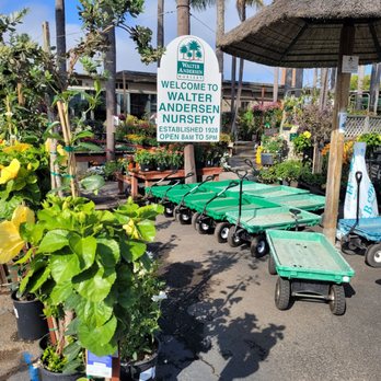 Walter Andersen Nursery - Beautiful plants - Nurseries & Gardening Near Me - San Diego, California Walter Andersen Nursery - Beautiful plants - Nurseries & Gardening Near Me - San Diego, California
