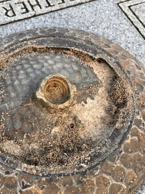 South Park Funeral Home