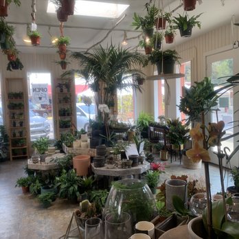 Broadway Terrace Nursery - Interior view of the shop, plenty of planters and stands! - Nurseries & Gardening Near Me - Oakland, California Broadway Terrace Nursery - Interior view of the shop, plenty of planters and stands! - Nurseries & Gardening Near Me - Oakland, California