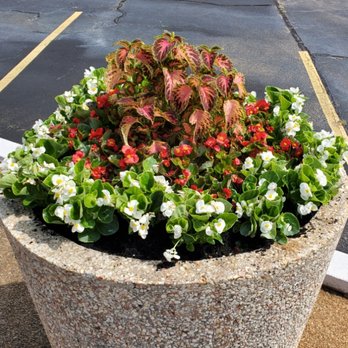 Premium Petals Landscape - Another spring planting - Irrigation Near Me Premium Petals Landscape - Another spring planting - Irrigation Near Me