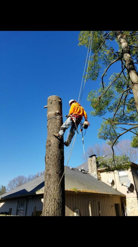 SOLIS LANDSCAPING CLOSED Lynn, Massachusetts Landscaping Phone