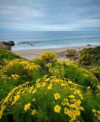 Leo Carrillo State Park by null