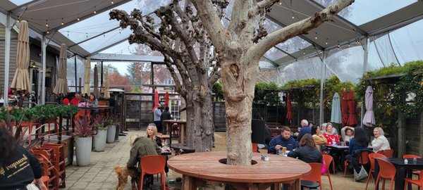 HopMonk Tavern Sonoma by null