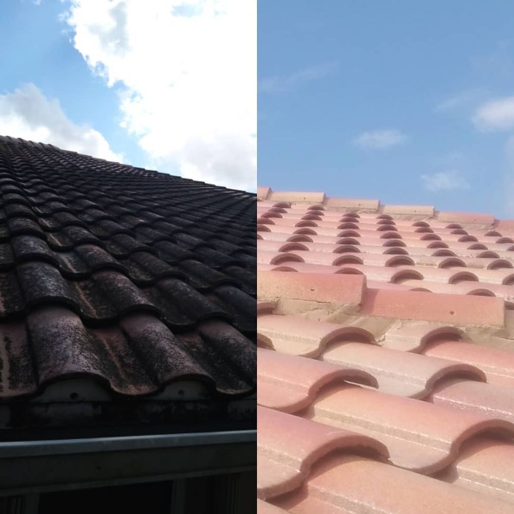 Slide of Pure Flow Soft Wash and Pressure Washing