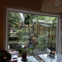Happy Home Maintenance - Kitchen window