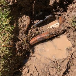 Sprinkler Master - Carson City - Root spliting front yard sprinkler pipe wide open.
