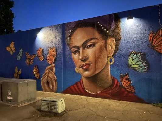 Fridas Street Tacos by null