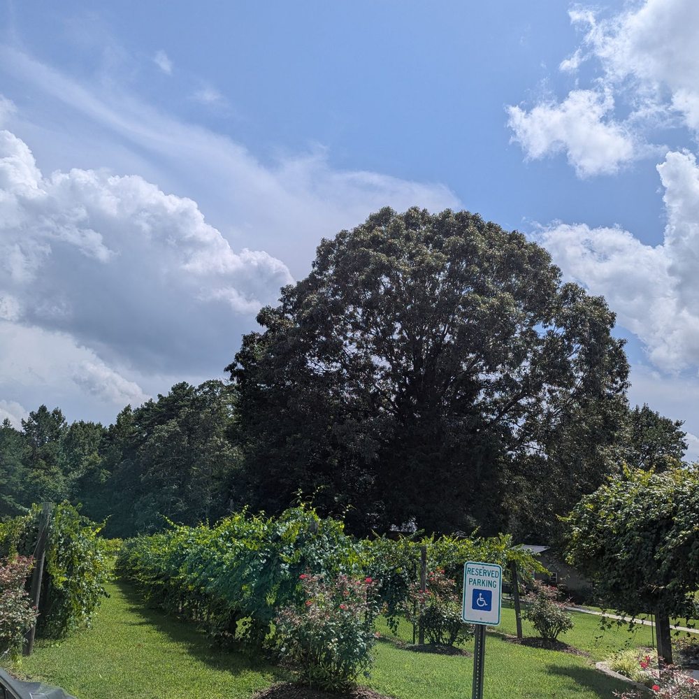 Douglas Vineyards - Wine Tasting Room Near Me - Kannapolis, North Carolina