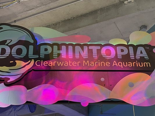 Clearwater Marine Aquarium by null