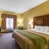 Comfort Inn Brownsville I-40 gift card