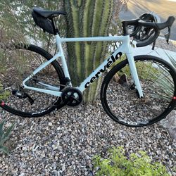 Tucson Endurance Performance Center - I bought my Lizard Skins bag from Tucson Endurance.
