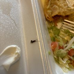 Mi Tierra - Bug in my food......