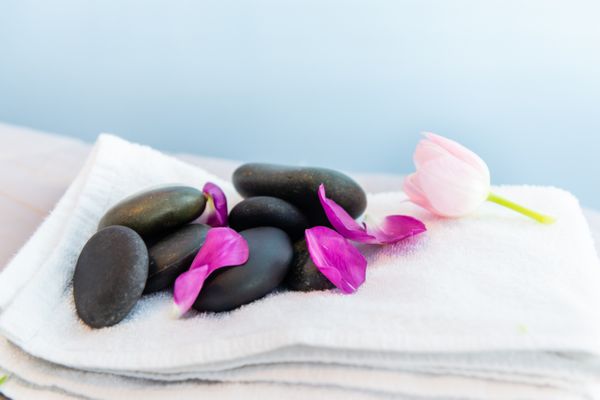 Serenity Wellness Spa by null