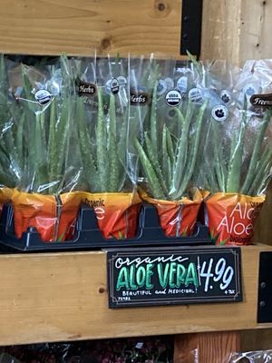 Trader Joe's by null