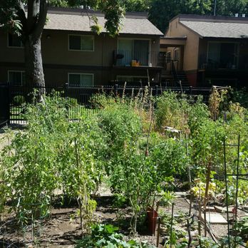 Zapata Park - Total of 12 plots - Community Gardens Near Me - Sacramento, California Zapata Park - Total of 12 plots - Community Gardens Near Me - Sacramento, California