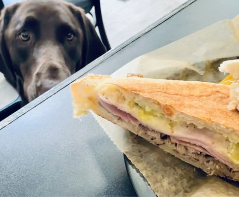 Casa Guava Cuban Cafe by null