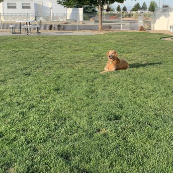 Ambassador Rv Resort - Dog park - Resorts Near Me - Caldwell, Idaho Ambassador Rv Resort - Dog park - Resorts Near Me - Caldwell, Idaho