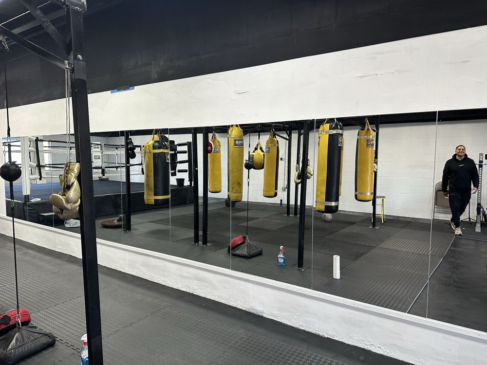 Muscles and Knuckles