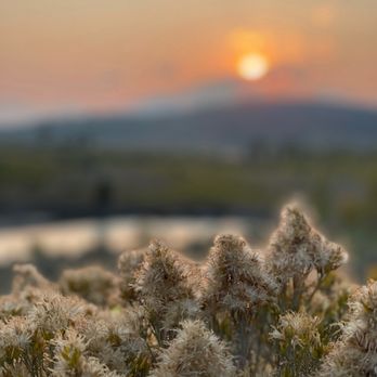 Heart Six Guest Ranch - Morning views - Ranches Near Me - Moran, Wyoming