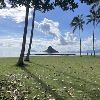 North Shore Beach Bus - Lanikai Beach - Bus Tours Near Me - Honolulu, Hawaii North Shore Beach Bus - Lanikai Beach - Bus Tours Near Me - Honolulu, Hawaii