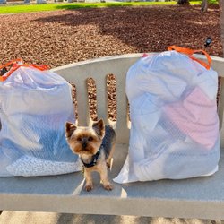 Upland Animal Shelter - Donating some towels and flat sheets to the animal shelter. 10-28-26