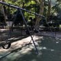 Photo of Dinosaur Playground